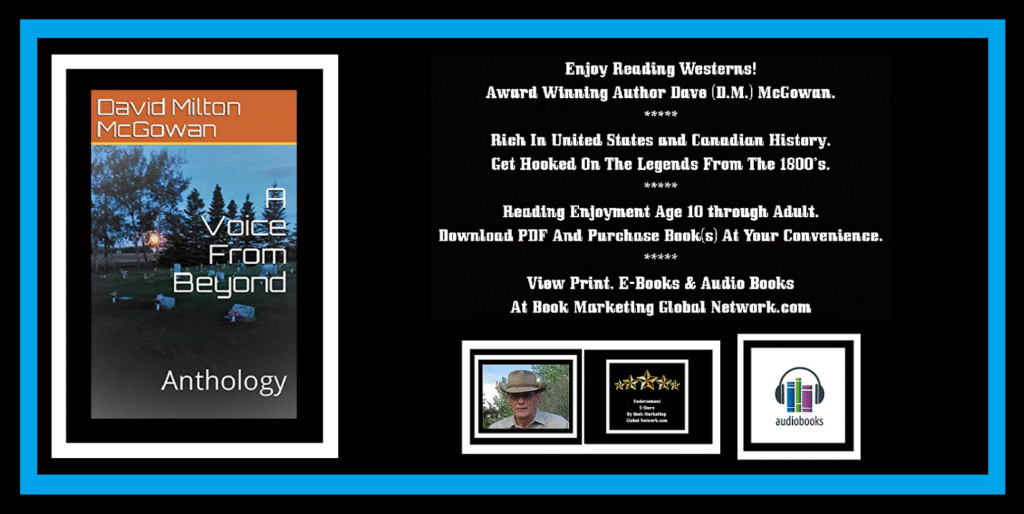 Book Banner For A Voice From Beyond by David Milton McGowan
