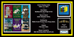 Book Banner For Davey & Derek Junior Detectives Series Janice Spina