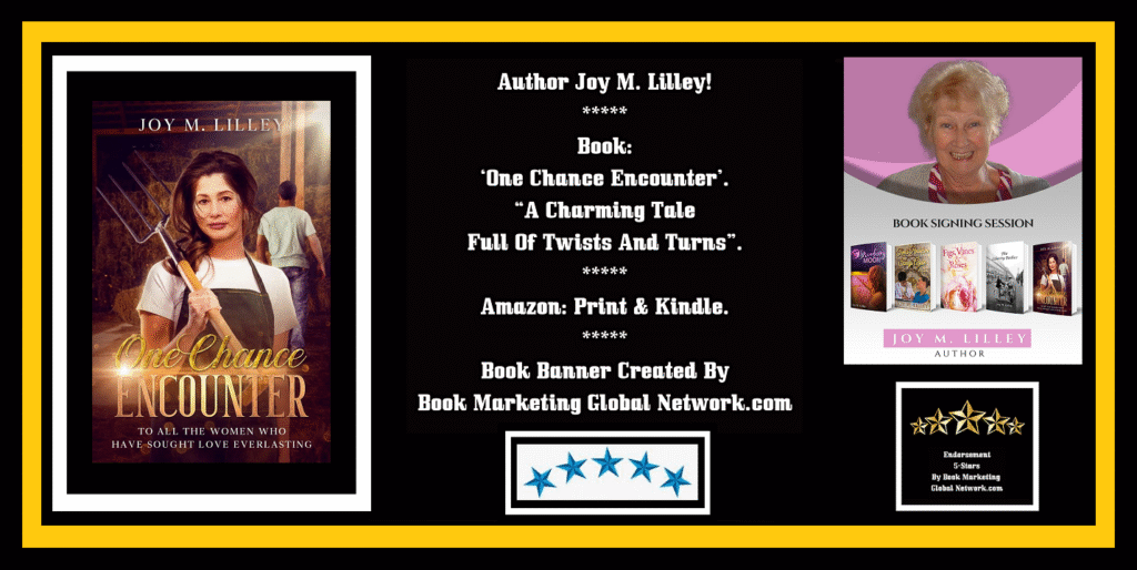 Book Banner For 'One Chance Encounter' by Joy M. Lilley
