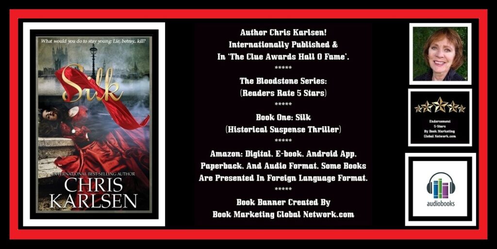 Book Banner For 'Silk' by Chris Karlsen