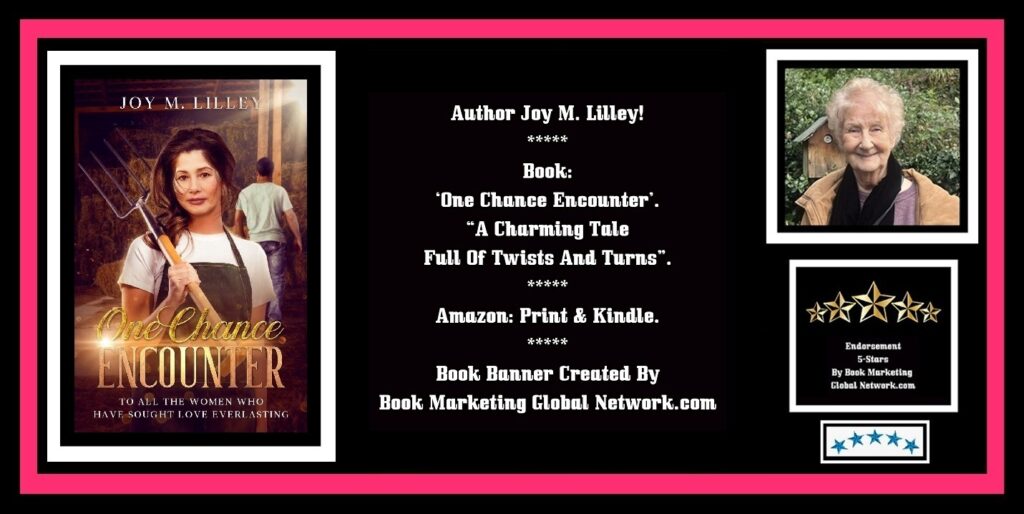 Book Banner For One Chance Encounter by Joy M. Lilley