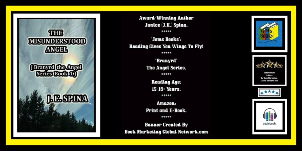 BOOK BANNER FOR 'THE MISUNDERSTOOD ANGEL' BY JANICE SPINA