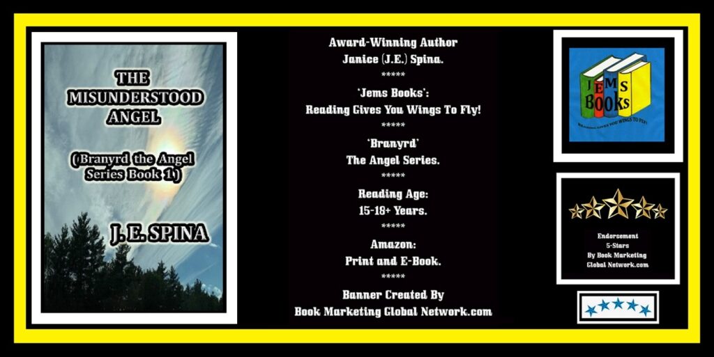 Book Banner For 'The Misunderstood Angel' by Jane (J.E.) Spina