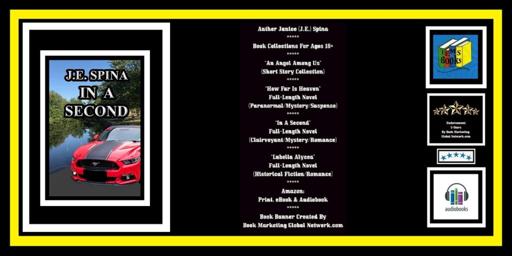 BOOK BANNER FOR 'IN A SECOND' BY JANICE (J.E.) SPINA