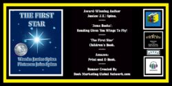 BOOK BANNER FOR 'THE FIRST STAR' BY JANICE SPINA
