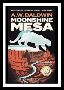 Moonshine Mesa by A.W. Baldwin