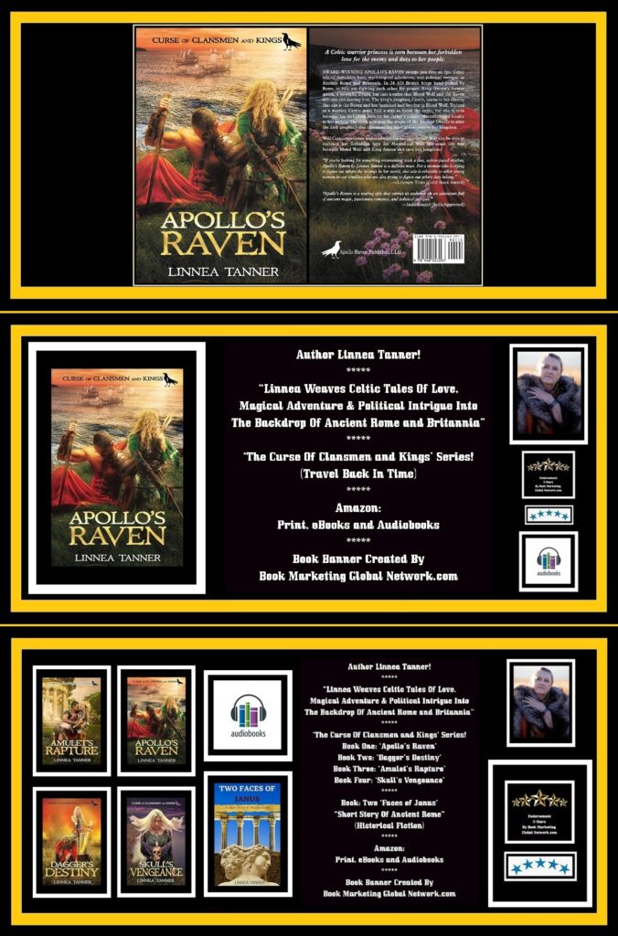 BANNER POSTER FOR APOLLIO'S RAVEN BY LINNEA TANNER