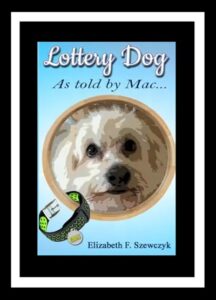 Lottery Dog by Elizabeth Szewczyk