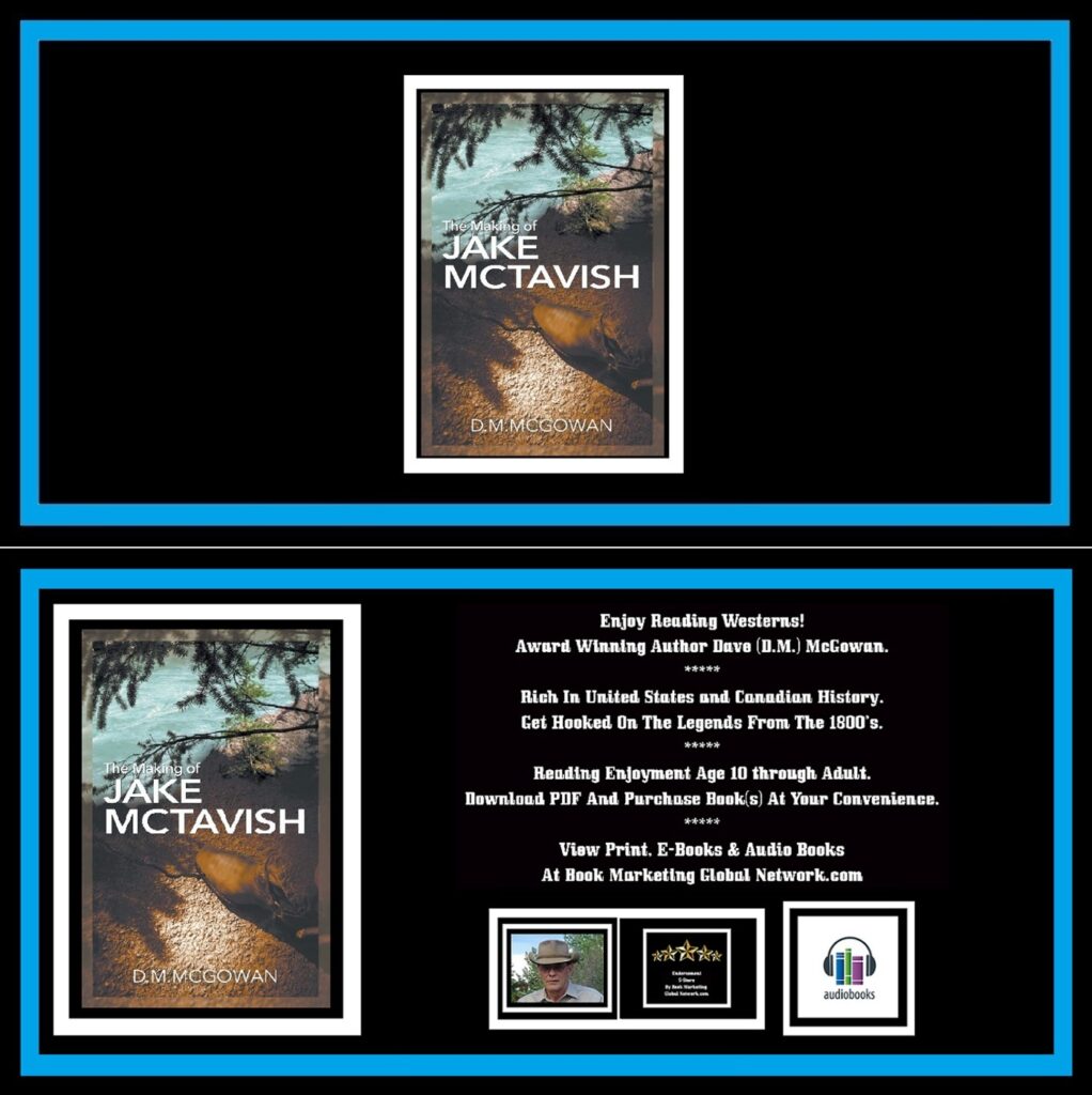 The Making Of Jake McTavish by Dave (D. M.) McGowan